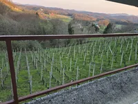 Недвижимость Дом, Древеник: 21