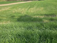 Недвижимость Хозяйственный комплекс Видовица: 4