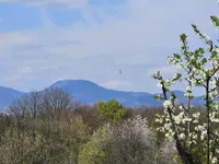 Недвижимость Хозяйственный комплекс Видовица: 5