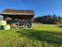 Недвижимость Имение Новое Раковецкое Хозяйство.: 10