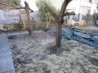 Недвижимость Квартира на Виа дей Джельси: 13