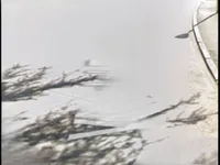 Недвижимость Квартира на аукционе в Гориция: 10