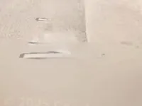 Недвижимость Квартира на аукционе Горизия: 10