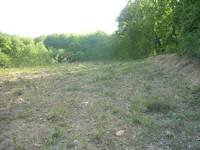 Недвижимость Владение, фермерское хозяйство Добриче.: 1