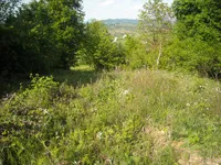 Недвижимость Владение, фермерское хозяйство Добриче.: 2