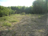 Недвижимость Владение, фермерское хозяйство Добриче.: 3