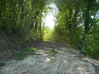 Недвижимость Владение, фермерское хозяйство Добриче.: 4