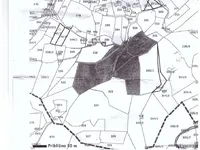 Недвижимость Владение, фермерское хозяйство Добриче.: 6