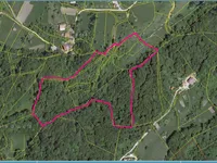 Недвижимость Владение, фермерское хозяйство Добриче.: 7