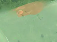 Недвижимость Усадьба 'Крестьянское Наследие': 7