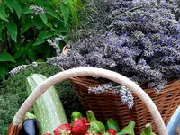 Недвижимость Дом с террасой в Ягодье: 4