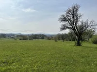 Недвижимость Земельный участок под застройку в Церовце под Бочем: 6