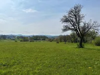 Недвижимость Земельный участок под застройку в Церовце под Бочем: 8