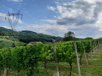 Недвижимость Усадьба Кметияново, Подсреда: 13