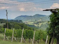 Недвижимость Усадьба Кметияново, Подсреда: 14