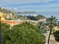 Недвижимость Apartment Monaco, La Rousse: 11