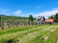 Недвижимость Усадьба Ново Радец, Йесенице-на-Доленьском: 9