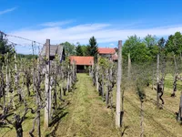 Недвижимость Усадьба Ново Радец, Йесенице-на-Доленьском: 10