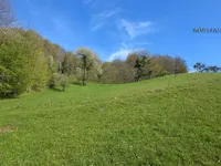 Недвижимость Поместье Кметияново Раскрижье.: 5