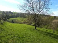 Недвижимость Поместье Кметияново Раскрижье.: 7