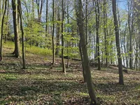 Недвижимость Поместье Кметияново Раскрижье.: 9