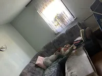 Недвижимость Доленья Вас Дом: 8