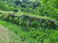 Недвижимость Вурберк: 9