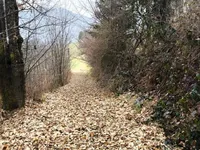 Недвижимость Большая Вершина у Литии: 3