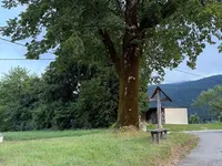 Недвижимость Кот при Рыбнице.: 4