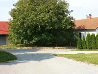 Недвижимость Дракшл, 27, Велика Неделя: 2