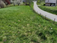 Недвижимость Дракшл, 27, Велика Неделя: 17