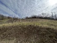 Недвижимость Долина при Лендаве: 21