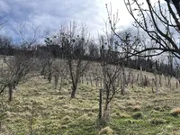 Недвижимость Долина при Лендаве: 22