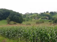 Недвижимость Пустика, Зибика: 9