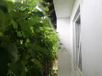 Недвижимость Пустика, Зибика: 14