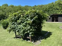 Недвижимость Штриховец.: 5