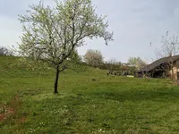 Недвижимость Долина.: 17