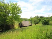 Недвижимость Копривница, Войско: 17