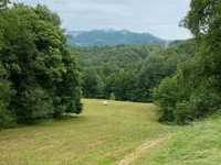 Недвижимость Сентюр Буковье при Сливнице: 3