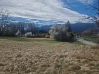 Недвижимость Инвестиционная недвижимость в Новом Лешце: 3