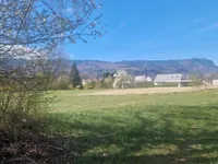 Недвижимость Инвестиционная недвижимость в Новом Лешце: 5