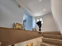 Недвижимость Семейный дом в Опатии: 17