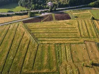 Недвижимость Поместье, фермерское хозяйство Горичица под Кримом.: 3