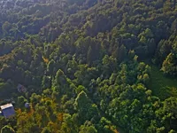 Недвижимость Поместье, фермерское хозяйство Горичица под Кримом.: 4