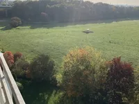 Недвижимость Apartment 3 bedrooms for sale in Bertrange: 5