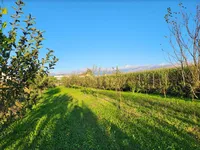 Недвижимость Дом с террасой, Любляна, Бежиград, Подгорица.: 4