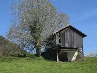 Недвижимость Поместье Сочка, Кметияново: 18