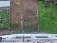 Недвижимость Двухкомнатная квартира Новый Сежана: 18