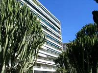 Недвижимость Apartment Monaco, Monte-Carlo: 12