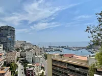 Недвижимость Apartment Monaco, Moneghetti: 1